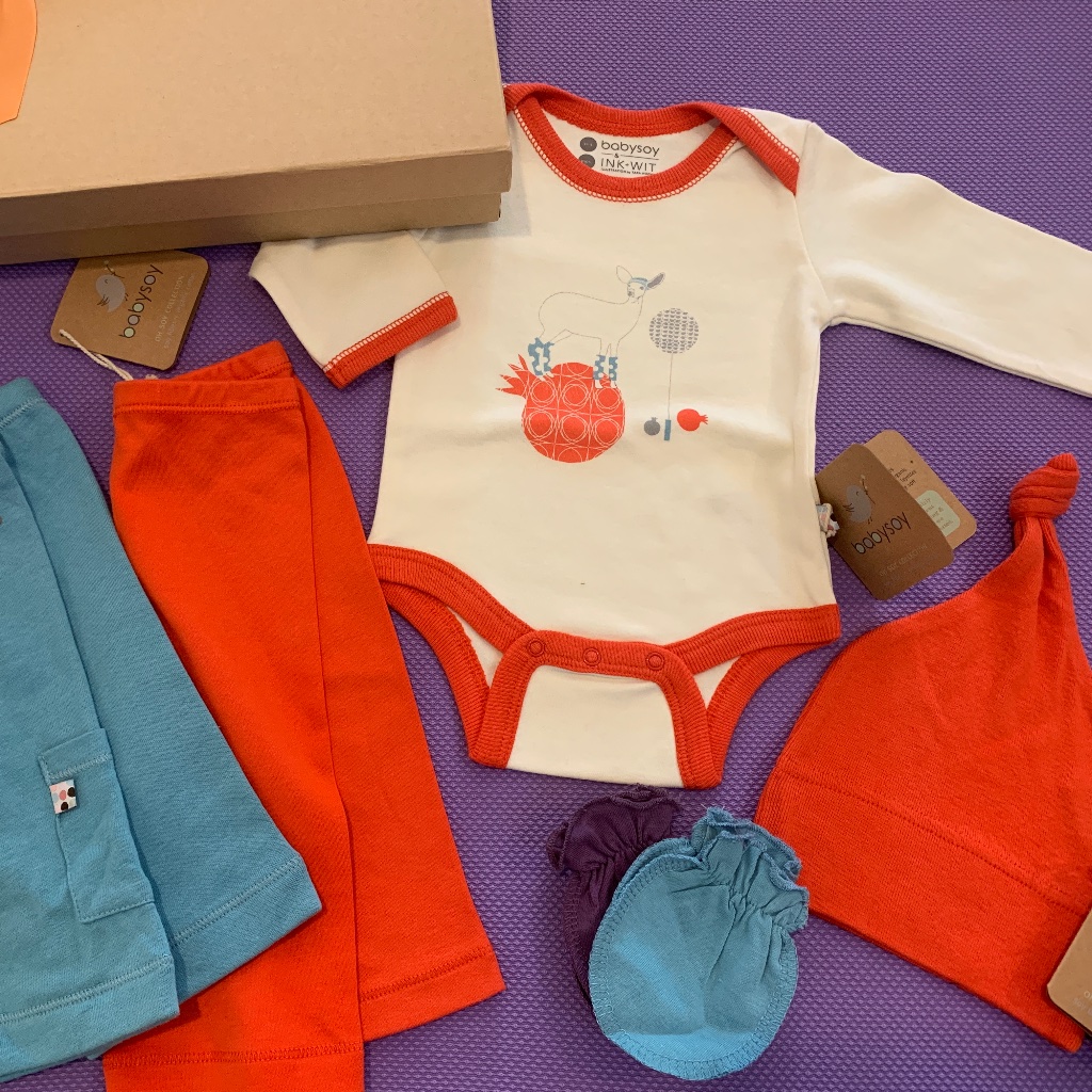 Babysoy Newborn Gift Set - Bodysuit/2 Pants/Hat/Newborn Mittens/Box - 0-3 Months